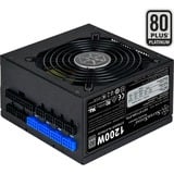 SilverStone SST-ST1200-PTS alimentation  modulaire 1200 watt Noir, 8x PCIe