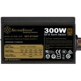 SilverStone , 300 Watt alimentation  Noir