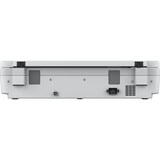 Epson WorkForce DS-50000, Scanner à plat Blanc/gris, 600 x 600 DPI, 16 bit, 48 bit, 4 sec/page, Numérisation à plat, Blanc