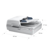 Epson WorkForce DS-6500, Scanner à feuilles 215,9 x 1016 mm, 1200 x 1200 DPI, 48 bit, 24 bit, Numériseur à plat et adf, Blanc