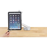 Ergotron Lockable Tablet Mount, Protection Argent