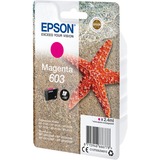 Epson Singlepack Magenta 603 Ink, Encre Rendement standard, 2,4 ml, 1 pièce(s)