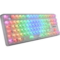 Sharkoon Requin Cristal RGB clavier gaming mécanique Blanc, Layout DE (QWERTZ), KTT, 85%