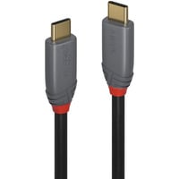 Lindy Câble USB 3.2 type C, 5A PD, Anthra Line Gris