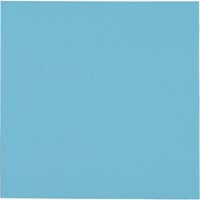 Thermal Grizzly Minus Pad Pro - 100x100x1,0 mm, Pad Thermique 