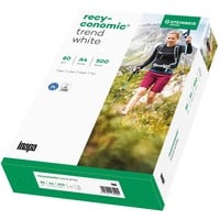 Inapa Recyconomic Trend blanc A4, Papier 