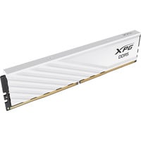 ADATA DIMM 24 GB DDR5-6000, Mémoire vive Blanc