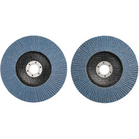 EINHELL Set de tampons abrasifs 2 pièces Ø 150mm, K40 / K80, Meule d’affûtage 