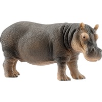 Schleich WILD LIFE Hippopotame, Figurine 3 an(s), Multicolore, Plastique, 1 pièce(s)