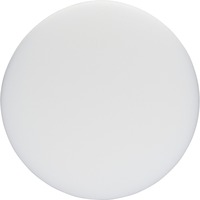 Bosch 1608613013 Disque de polissage, Roue de polissage Disque de polissage, 16 cm, Blanc