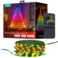 Govee Guirlandes lumineuses 2S, Guirlande lumineuse 
