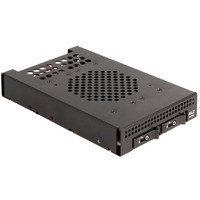 DeLOCK Châssis amovible 3,5″ pour 2 x M.2 NVMe SSD, Cadre de montage 