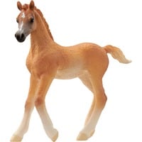 Schleich HORSE CLUB Poulain Arabe, Figurine 5 an(s), Marron, Plastique