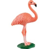 Schleich WILD LIFE Flamant rose, Figurine 3 an(s), Rose, Plastique