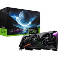 MSI V531-069R, Carte graphique