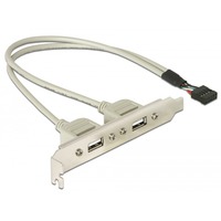 DeLOCK Slot bracket, 10-pin header > 2 x USB-A, Connecteur d'extension Gris, 0,3 mètres