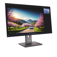 Lenovo ThinkVision P32UD-40 31.5" 4K UHD Moniteur  Noir