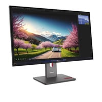 Lenovo ThinkVision P32UD-40 31.5" 4K Ultra HD Moniteur Noir, 1x DisplayPort, 1x HDMI, 1x USB-C, 4x USB-A, 2x Thunderbolt, 1x RJ-45, 120 Hz, 80 cm (31.5"), 3840 x 2160 pixels, 4K Ultra HD, LCD, 6 ms, Noir
