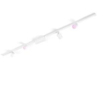 Philips Hue Ensemble de plafond de base droit Perifo (4 spots), Lampe Blanc, Philips Hue White and Color ambiance Kit de base Perifo pour plafond, droit (4 spots), Spot lumineux sur rail, LED, 6500 K, 220 - 240 V, Blanc