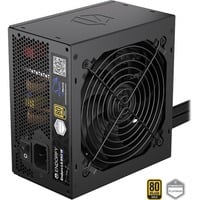 ENDORFY Enduro L6 alimentation 850 watt Noir, 1x 12V-2x6, 2x PCIe