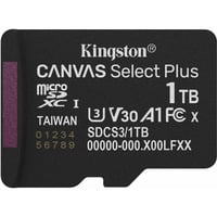Kingston SDCS3/1TBSP, Carte mémoire Noir