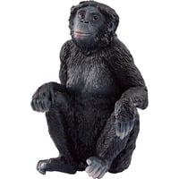 Schleich WILD LIFE Femelle Bonobo, Figurine 3 an(s), Noir, Plastique