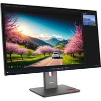 Lenovo ThinkVision P32UD-40 31.5" 4K Ultra HD Moniteur Noir, 1x DisplayPort, 1x HDMI, 1x USB-C, 4x USB-A, 2x Thunderbolt, 1x RJ-45, 120 Hz, 80 cm (31.5"), 3840 x 2160 pixels, 4K Ultra HD, LCD, 6 ms, Noir