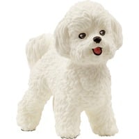 Schleich Bichon Frisé, Figurine 3 an(s), Blanc, Plastique