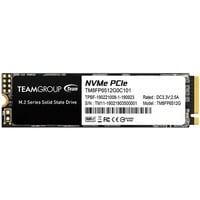 Team Group MP33 512 GB SSD 