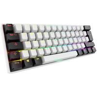 Sharkoon SKILLER SGK50 S4 Gen2, clavier gaming Blanc, Layout DE, Gateron Yellow