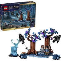 LEGO Harry Potter Forêt Interdite : Expecto Patronum, Jouets de construction 