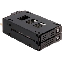 DeLOCK Baie mince cadre amovible pour 2 x 2,5″ U.2 NVMe SSD, Boîtier disque dur 