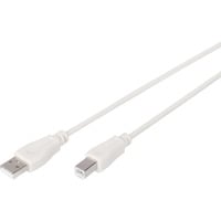 Digitus Câble de connexion USB 2.0 USB-A (mâle) > USB-B (mâle) Beige