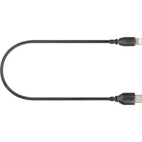 Rode Microphones SC21, USB-C male > Lightning male, Câble Noir, 0,3 mètres