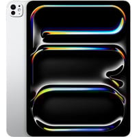 Apple  tablette 11" Argent