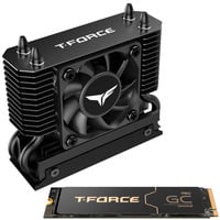 Team Group T-Force GC PRO 2 TB SSD Noir