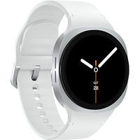 SAMSUNG SM-L320NZSADBT, Smartwatch Argent