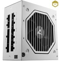 Sharkoon Rebel P20 850 White alimentation  modulaire 850 watt Blanc, 1x 12V-2x6, 4x PCIe