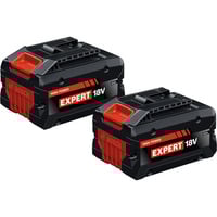 Bosch Batterie Expert EXBA18V-80, 2 pièces Noir