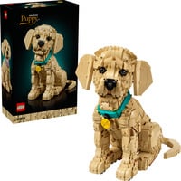 LEGO Icônes chiot Golden Retriever, Jouets de construction 