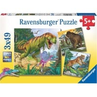 Ravensburger 9358, Puzzle 