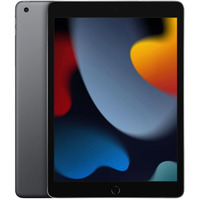 Apple iPad 10,2" (256 GB) Reconditionné tablette 10.2" Gris | 256 Go | Apple A13 Bionic | iPad OS 15 | Wi-Fi 5
