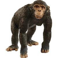 Schleich WILD LIFE Chimpanzé, Figurine 3 an(s), Multicolore