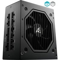 Sharkoon Rebel P20 alimentation modulaire 1000 watt Noir, 1x 12VHPWR, 4x PCIe