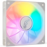 Valkyrie V12F ARGB 120 ventilateur de boîtier Blanc, 120 x 120 x 25 mm