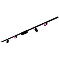 Philips Hue Ensemble de plafond de base droit Perifo (4 spots), Lampe Noir, Philips Hue White and Color ambiance Kit de base Perifo pour plafond, droit (4 spots), Spot d'éclairage intelligent, Bluetooth, Noir, LED intégrée, Métal, Synthétiques, Ampoule(s) non remplaçable(s)