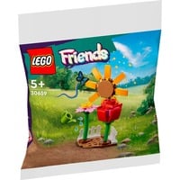 LEGO 30659, Jouets de construction 