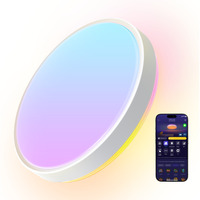 Govee 38cm Plafonnier intelligent RGBICWW Pro, Lumière LED 