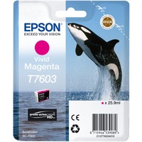 Epson C13T76034N10 cartouche d'encre 1 pièce(s) Original Magenta vif Magenta vif, 25,9 ml, 1 pièce(s), Paquet unique
