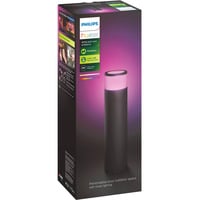 Philips Hue 915005731801, Lumière LED Noir